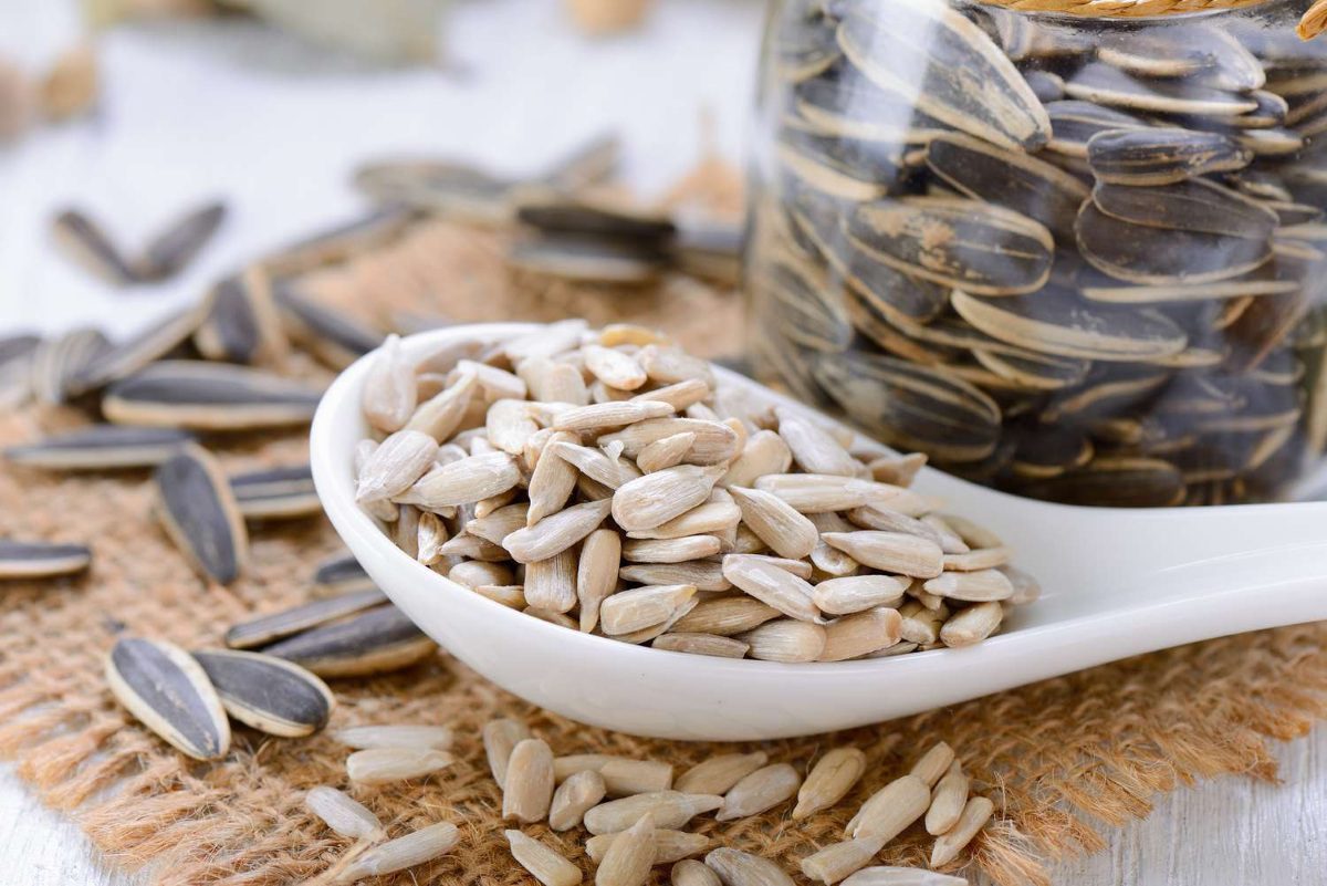 بهترین خوراکی های کلسیم دار برای تامین کلسیم بدن