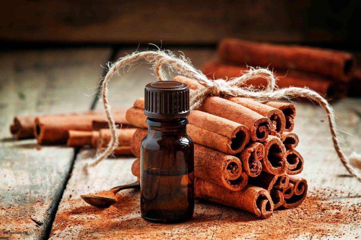 دارچین برای کاهش کلسترول دارچین برای کاهش کلسترول