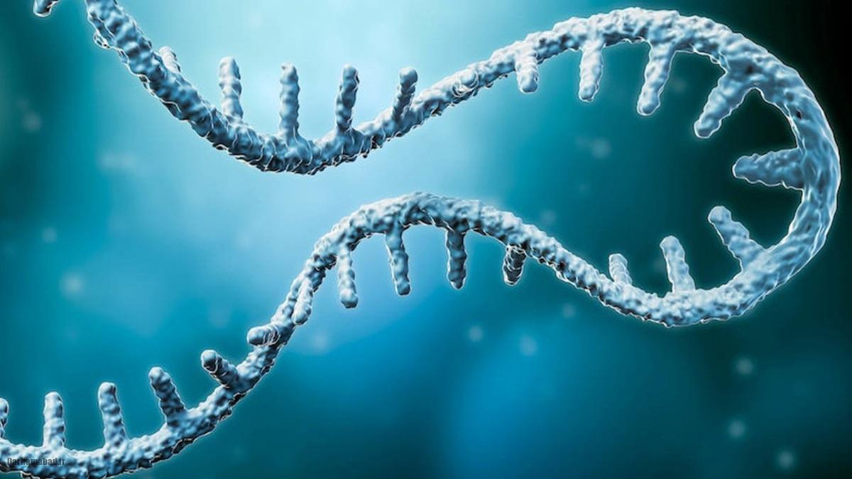 توسعه واکسن_های ضدسرطان با تکنولوژی mRNA توسعه واکسن_های ضدسرطان با تکنولوژی mRNA