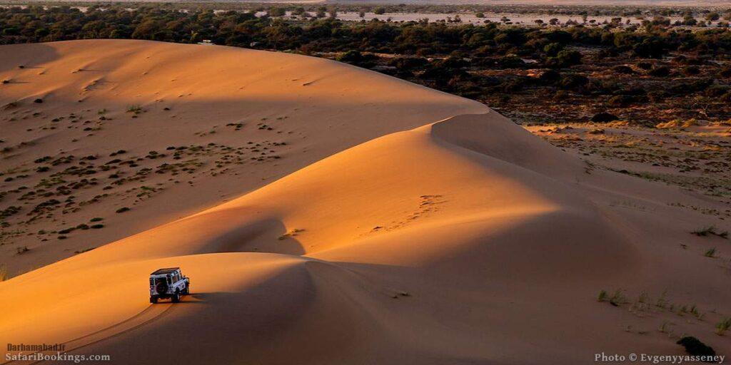سافاری در صحرای نامیب سافاری در نامیب