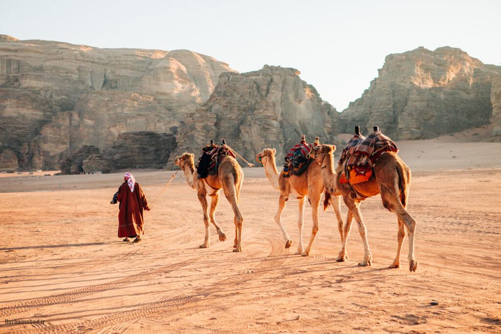 wadi-rum-jordan3 شترسواری در وادی رم