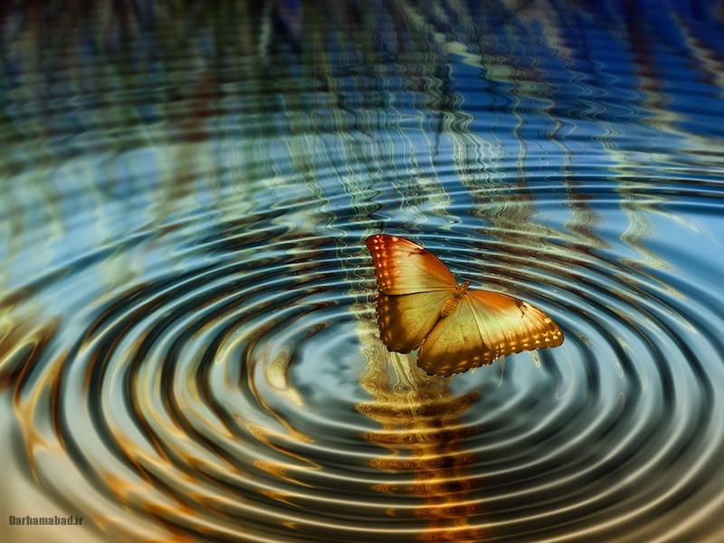 اثر پروانه ای اثر پروانه ای