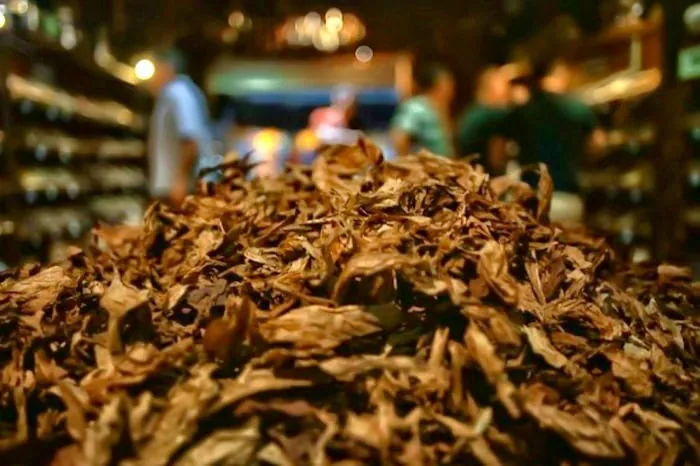 توتون و تنباکو