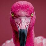 حیوانات صورتی رنگ