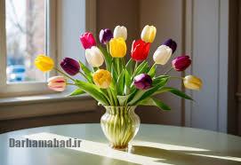 راهنمای خرید و نگهداری گل لاله در منزل؛ کاشت، نور، آبیاری و نکات کاربردی