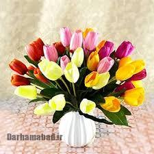 راهنمای خرید و نگهداری گل لاله در منزل؛ کاشت، نور، آبیاری و نکات کاربردی