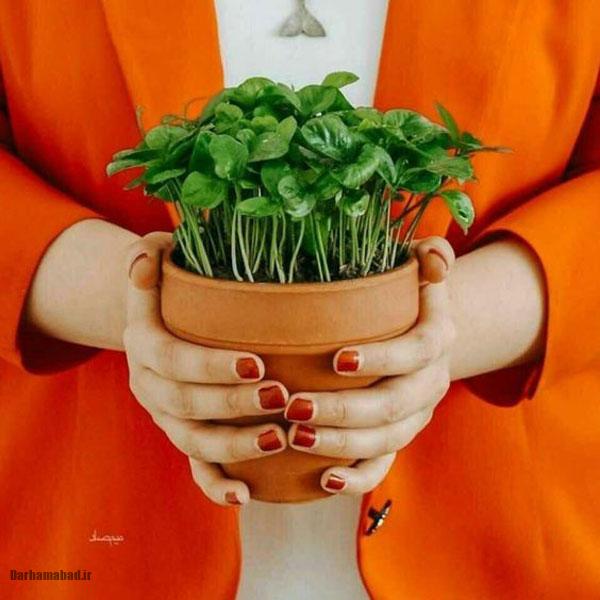 عکس پروفایل پسرانه عکس پروفایل خاص عکس پروفایل جدید امسال عکس پروفایل شیک عکس پروفایل خفن عکس پروفایل زیبا