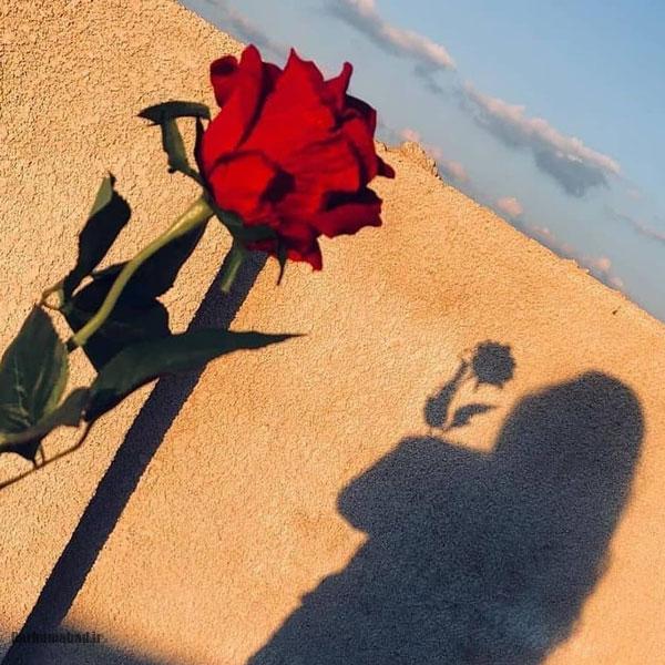 عکس پروفایل دخترونه شیک عکس پروفایل دخترونه جدید عکس پروفایل دخترونه جدید شیک و باکلاس تهرانی عکس پروفایل دخترونه خفن عکس پروفایل دخترونه ۱۲ ساله عکس دخترونه شیک و باکلاس برای پروفایل