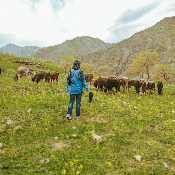 عکس پروفایل دخترونه شیک عکس پروفایل دخترونه جدید عکس پروفایل دخترونه جدید شیک و باکلاس تهرانی عکس پروفایل دخترونه خفن عکس پروفایل دخترونه ۱۲ ساله عکس دخترونه شیک و باکلاس برای پروفایل