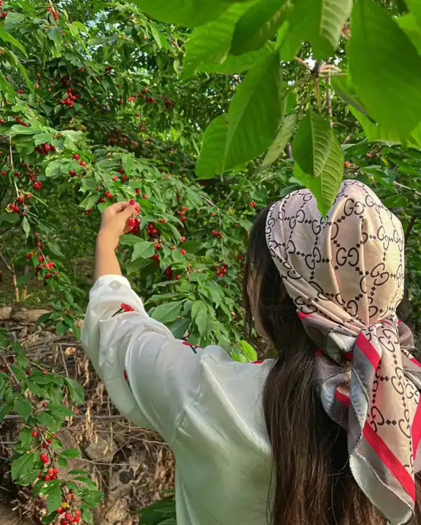 عکس پروفایل جدید