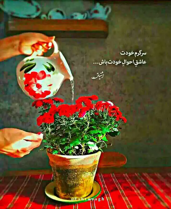عکس نوشته