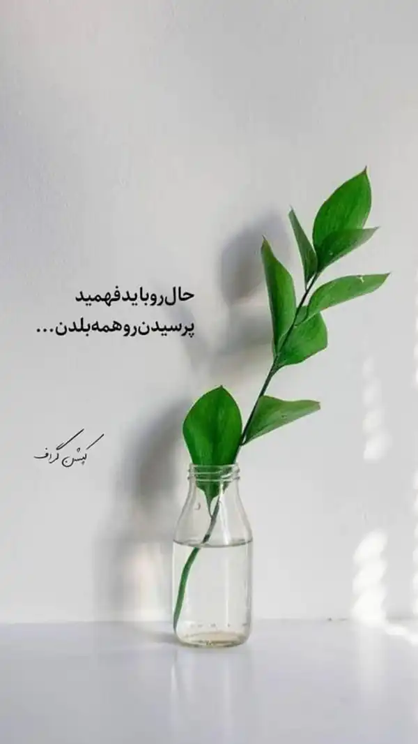 عکس نوشته