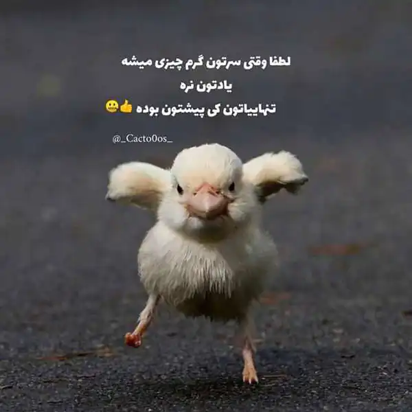 عکس نوشته خنده دار