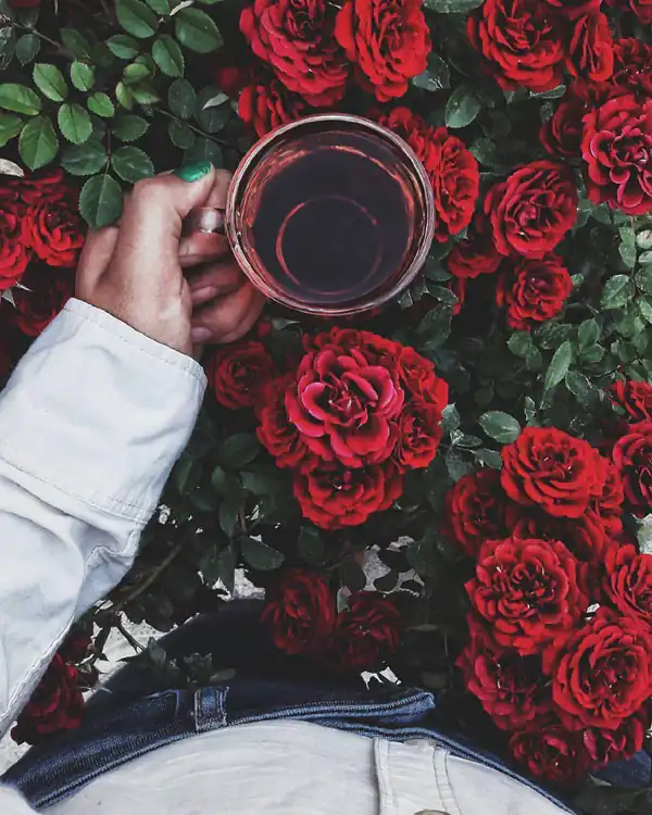 عکس پروفایل شیک