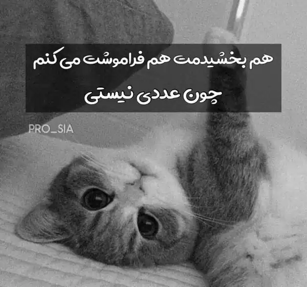 عکس پروفایل تیکه دار