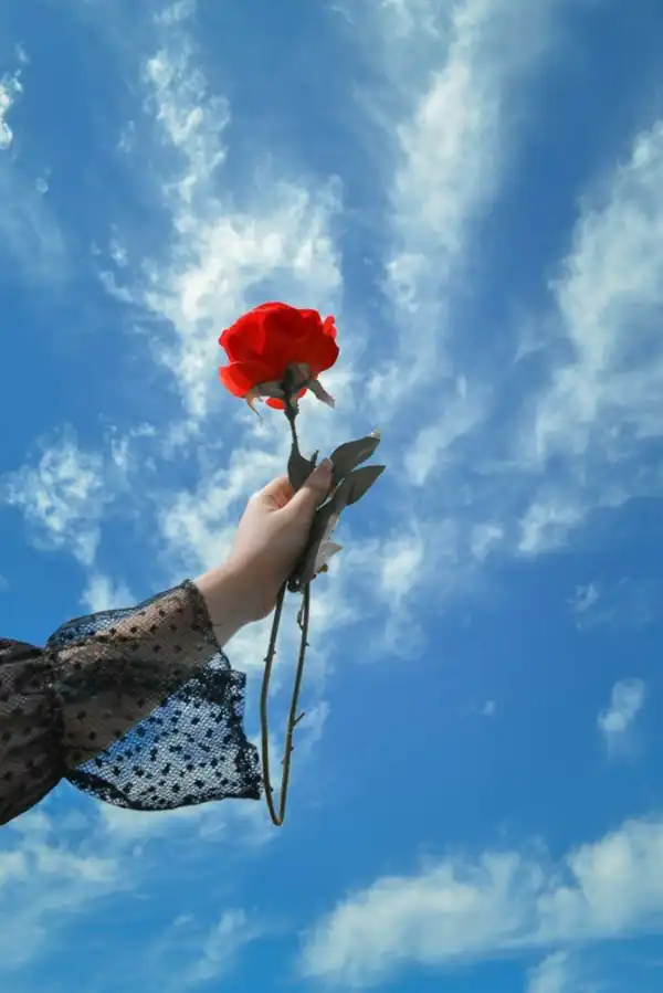 عکس دخترانه زیبا