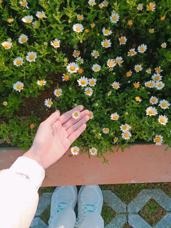 عکس دخترانه زیبا