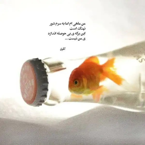 عکس نوشته خاص