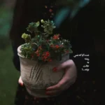 عکس نوشته خاص