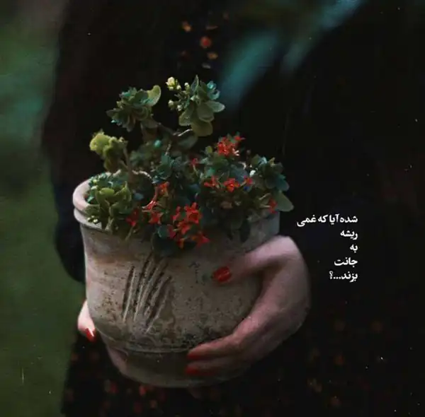 عکس نوشته خاص