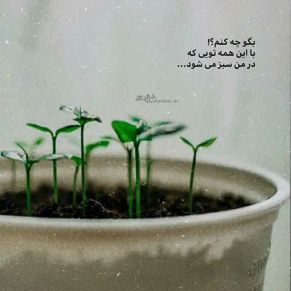 عکس نوشته زیبا