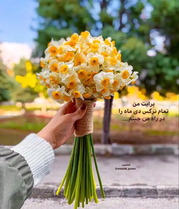 عکس نوشته زیبا
