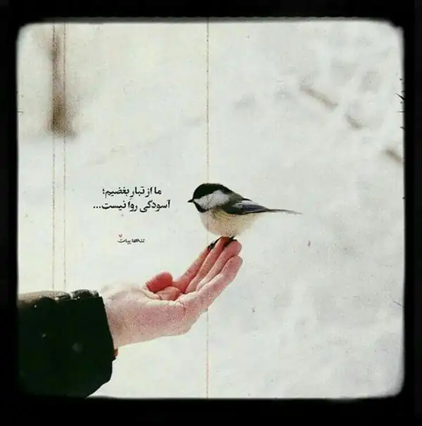 عکس نوشته زیبا