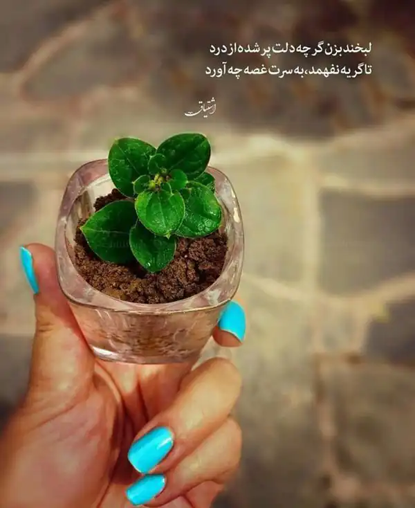 عکس نوشته جدید