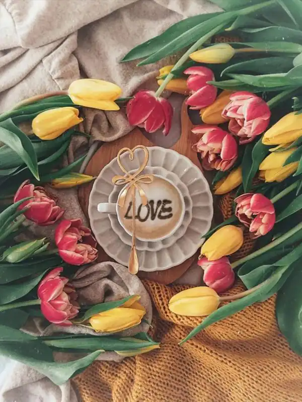 عکس پروفایل جدید امسال بدون متن