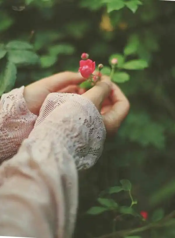 عکس پروفایل جدید امسال بدون متن