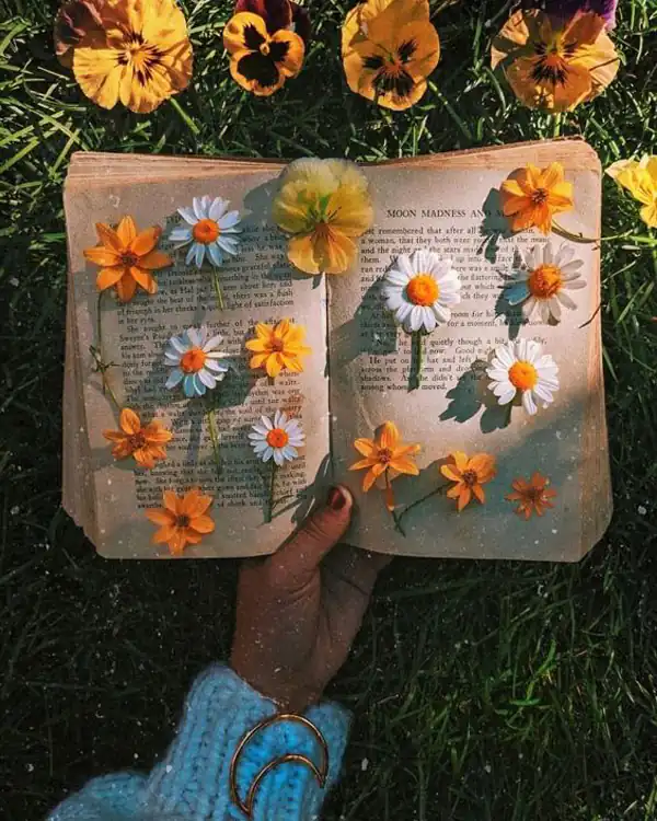 عکس پروفایل جدید بدون متن