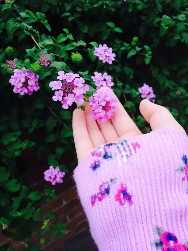 عکس پروفایل جدید بدون متن