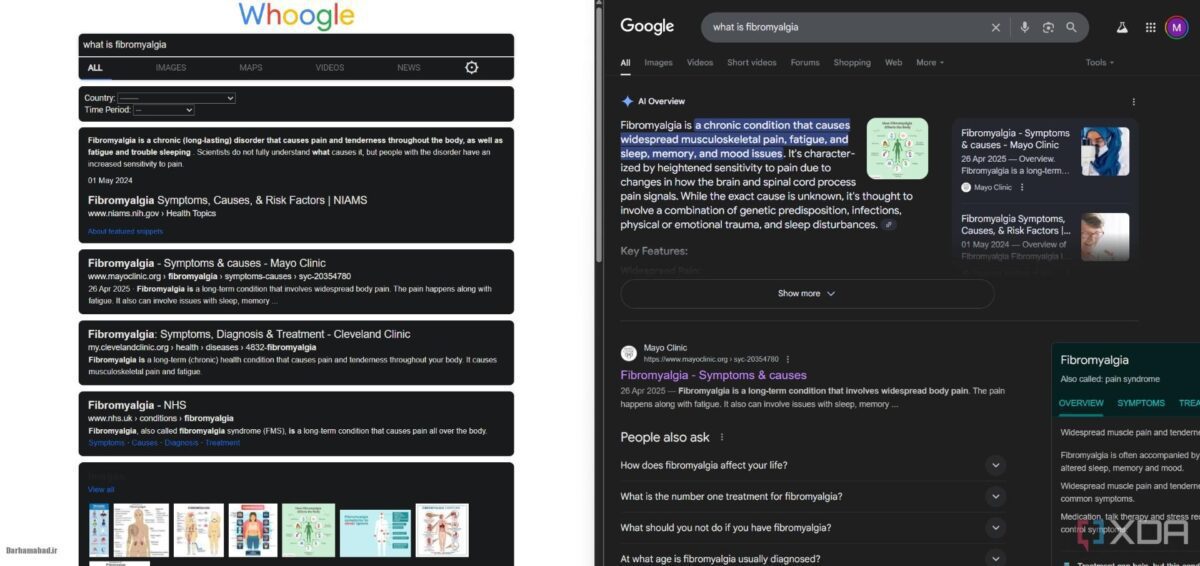 مقایسه‌ی موتور جست‌وجوی گوگل و هوگل