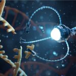 فناوری نانو و فناوریهای زیستی