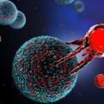 سلول_درمانی در سرطان_های خون با استفاده از سلول_های CAR-T