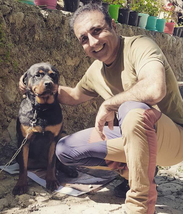 امید زندگانی