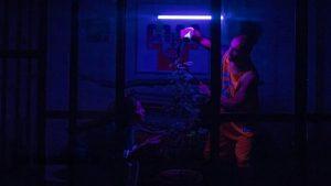 امیر جدیدی در بی داد