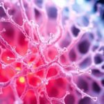 photo_2025-07-31_00-04-23