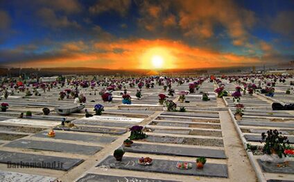 آیا اموات به دیدار بازماندگان خود میآیند؟