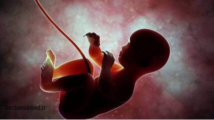 فتاوای حضرت آیت الله شبیری زنجانی درباره سقط جنین