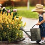 روانشناسی محیط سبز