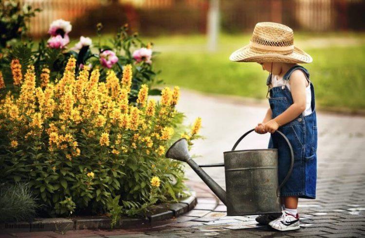 روان‌شناسی محیط سبز