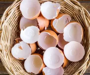 کود گیاهی با پوست تخم مرغ