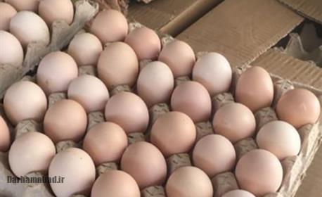 کود گیاهی با پوست تخم مرغ