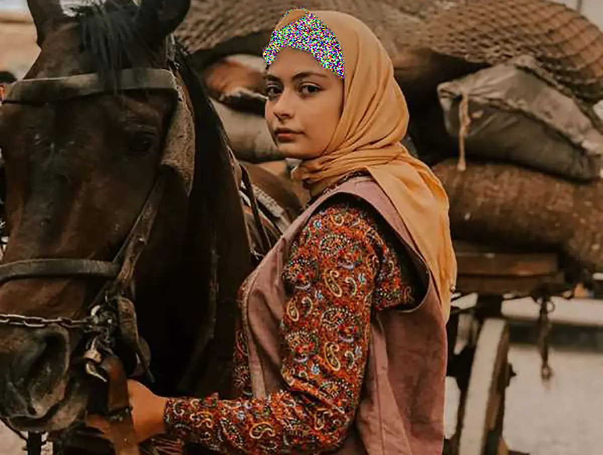 ستایش دهقان