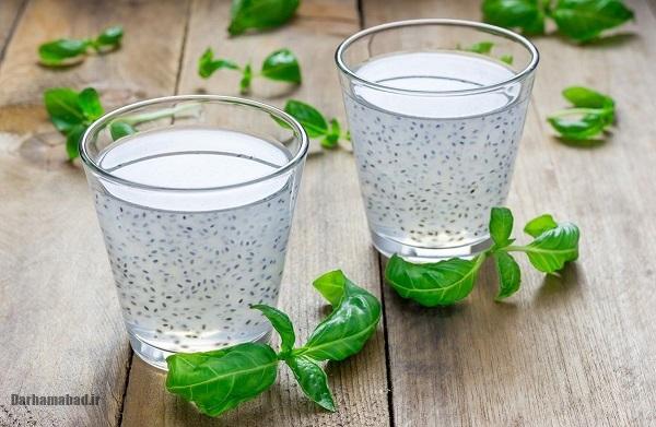 طرز تهیه شربت خاکشیر و تخم شربتی؛ خنکی بینظیر برای روزهای گرم