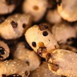 دفع حشرات از حبوبات