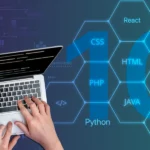 حقوق برنامهنویسان در جهان