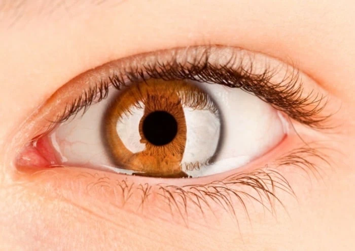 شخصیت شناسی رنگ چشم شخصیت شناسی رنگ چشم