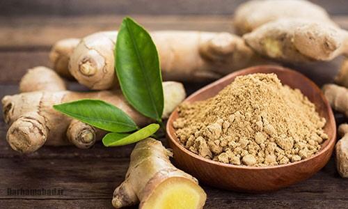 خواص زنجبیل
